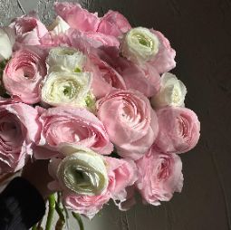 Ranunculus Care: Enhance the Beauty of Your Bouquets