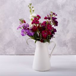 Matthiola Care: Enhance the Beauty of Your Bouquets
