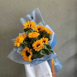 Sunflower Care: Enhance the Beauty of Your Bouquets