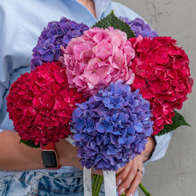 Hydrangea Bouquet Care for Long-Lasting Blooms
