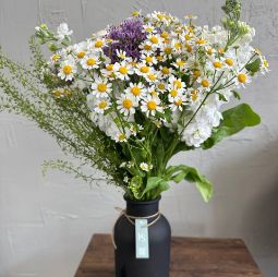 Chamomile Care Guide: Keep Your Bouquets Sunny & Fragrant | KS Flowers