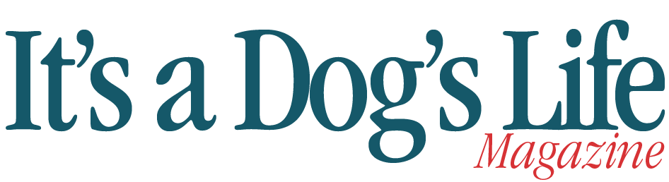 It's a Dog's Life Magazine Logo